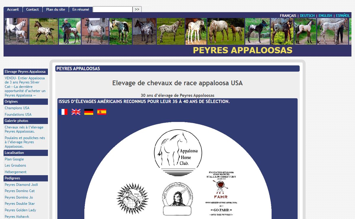 [PEYRES APPALOOSAS]