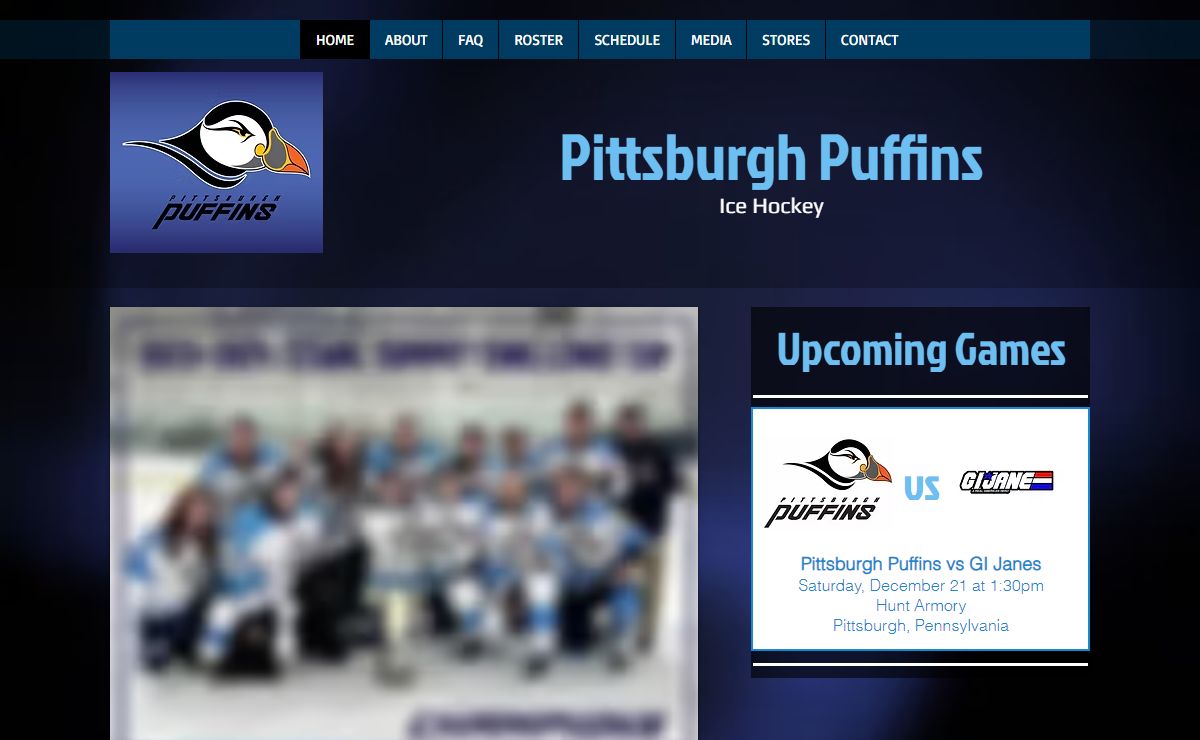 Pittsburgh Puffins Ice Hockey