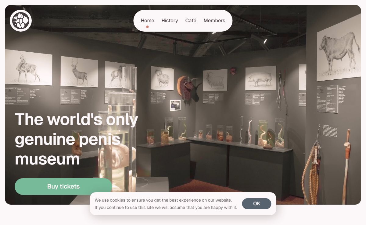 The Icelandic Phallological Museum