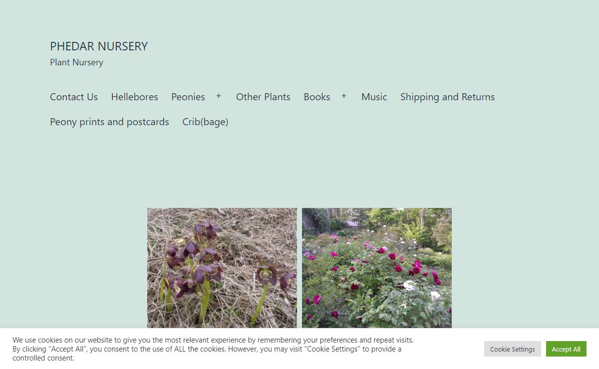 Phedar Nursery – Plant Nursery