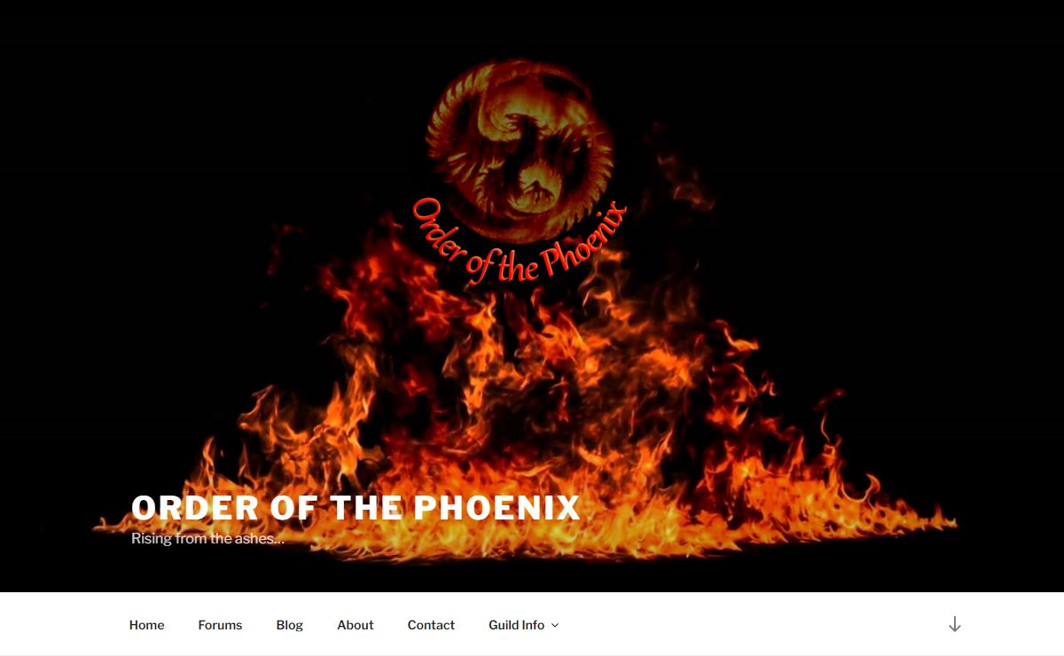 Order of the Phoenix – Rising from the ashes…