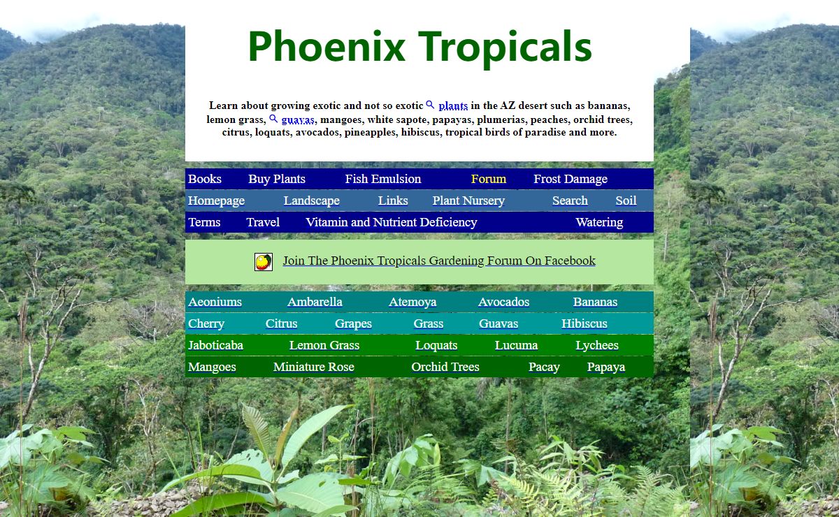 Growing Tropical Flowers and Fruits in the Phoenix Arizona, and California deserts. Plumeria cutting.