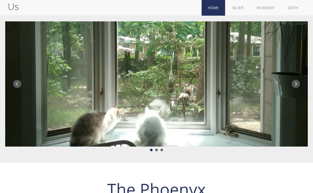 The Phoenyx