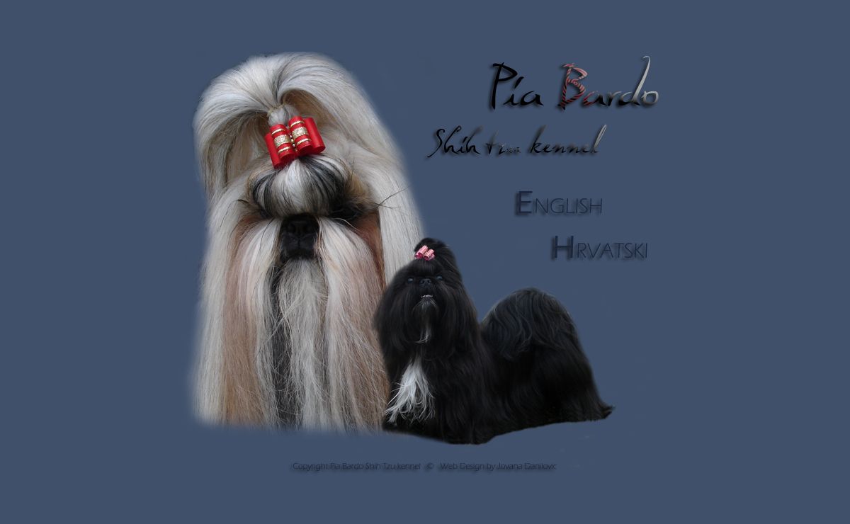 Pia Bardo Shih Tzu kennel