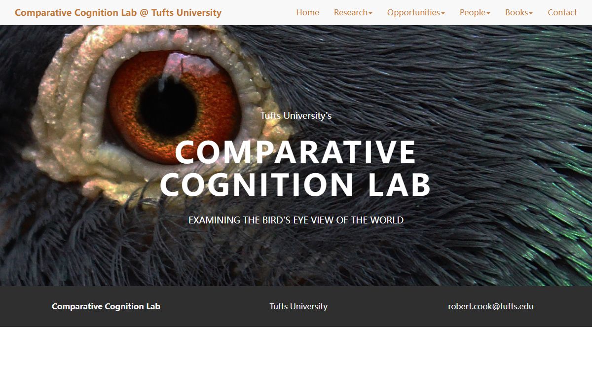 Comparative Cognition Lab @ Tufts University