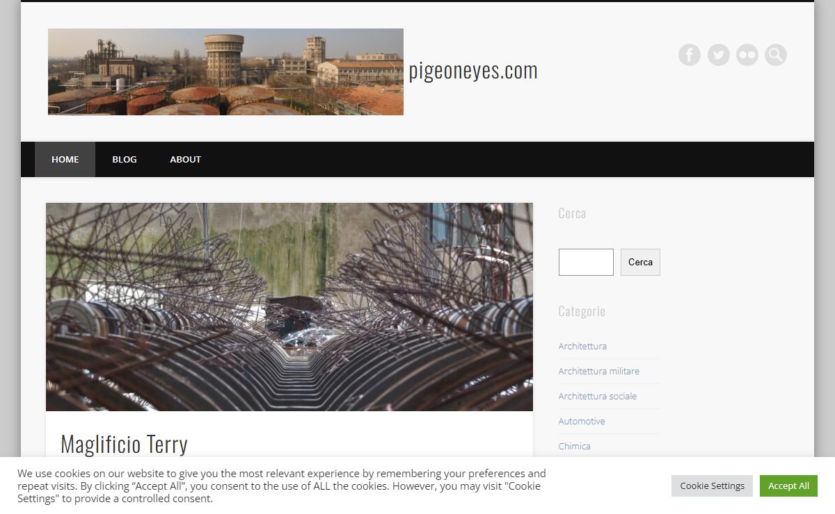 pigeoneyes.com