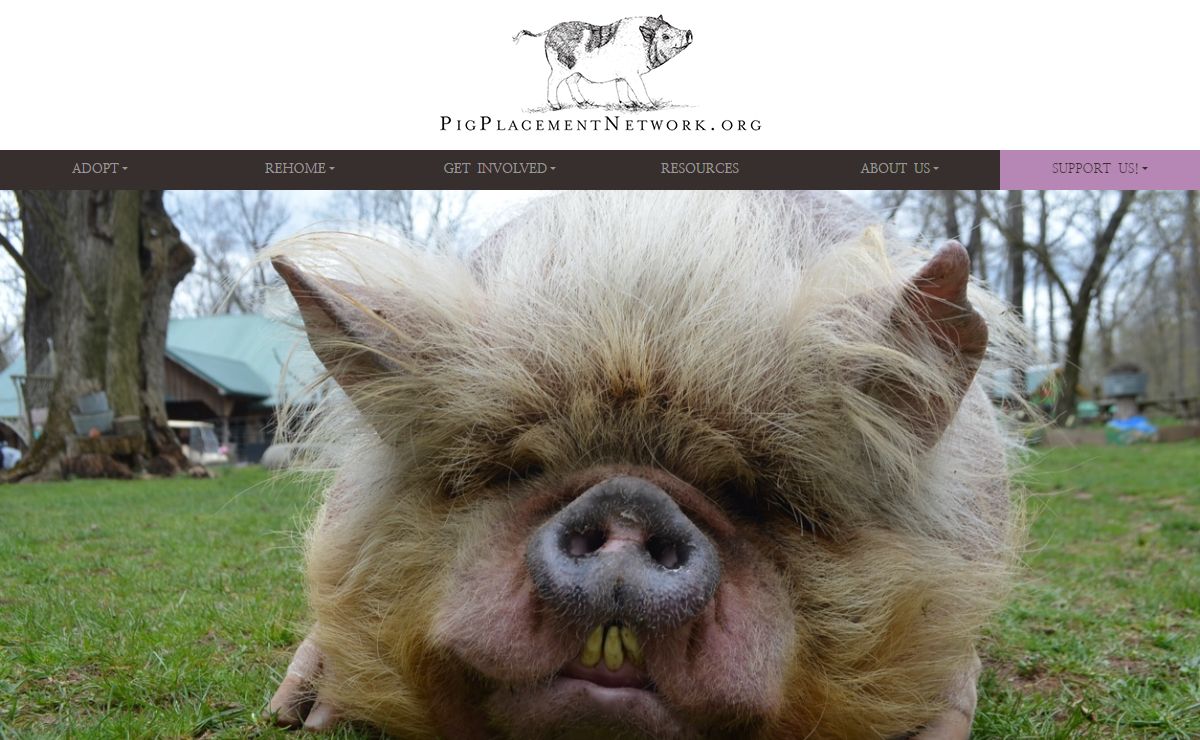 Pig Placement Network