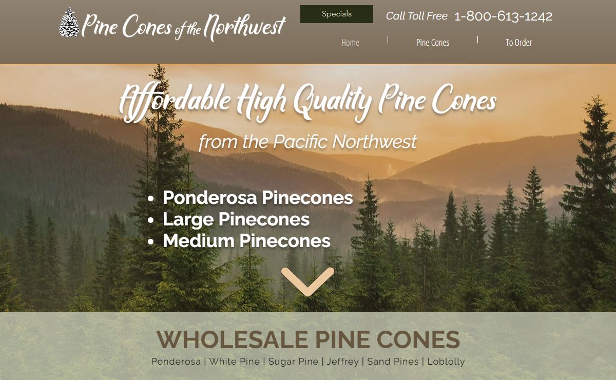 Affordable Quality Pine Cones for Sale | Pine Cones of the Northwest