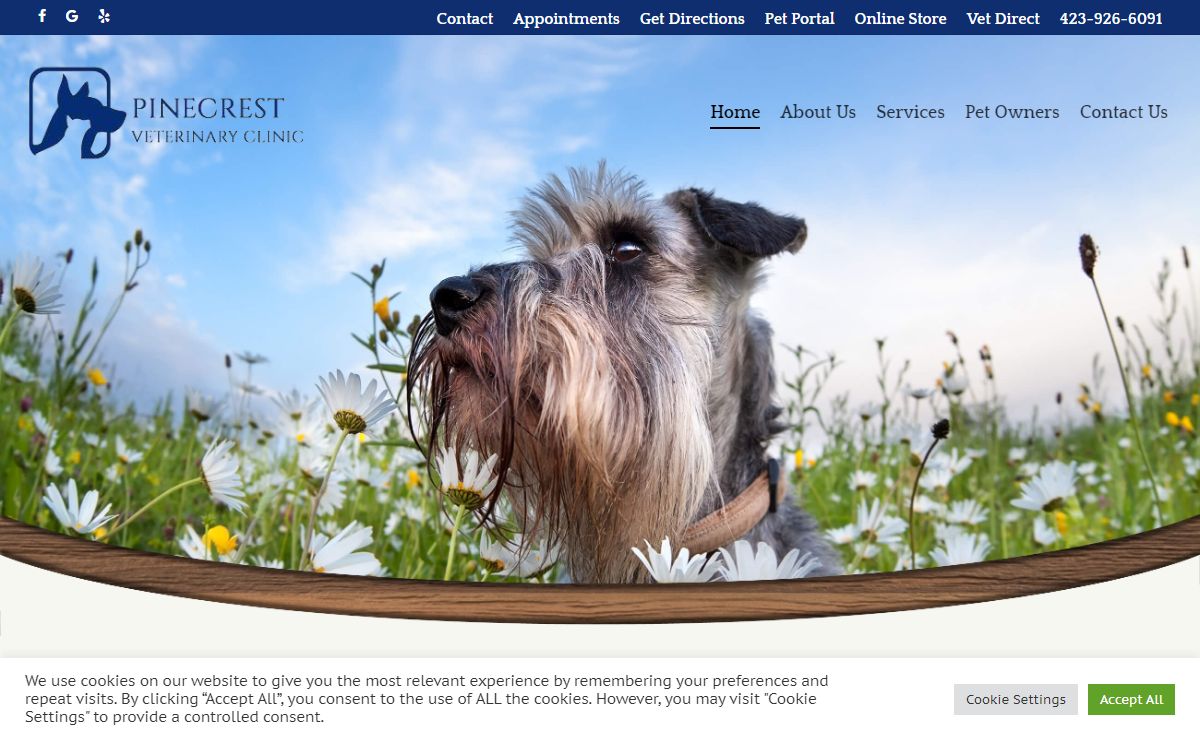 Veterinarian in Johnson City, TN | Local Vet | Animal Hospital | Elizabethton