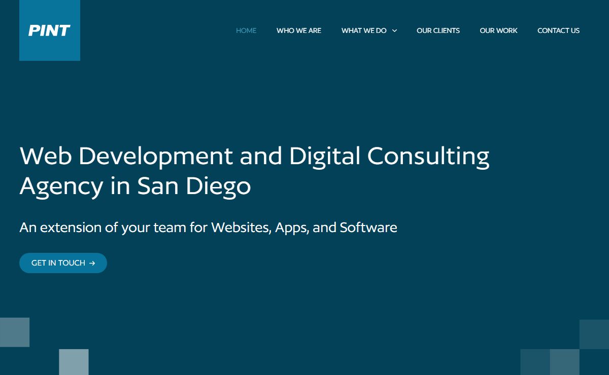 San Diego Web Development and Design - San Diego Digital Agency - PINT
