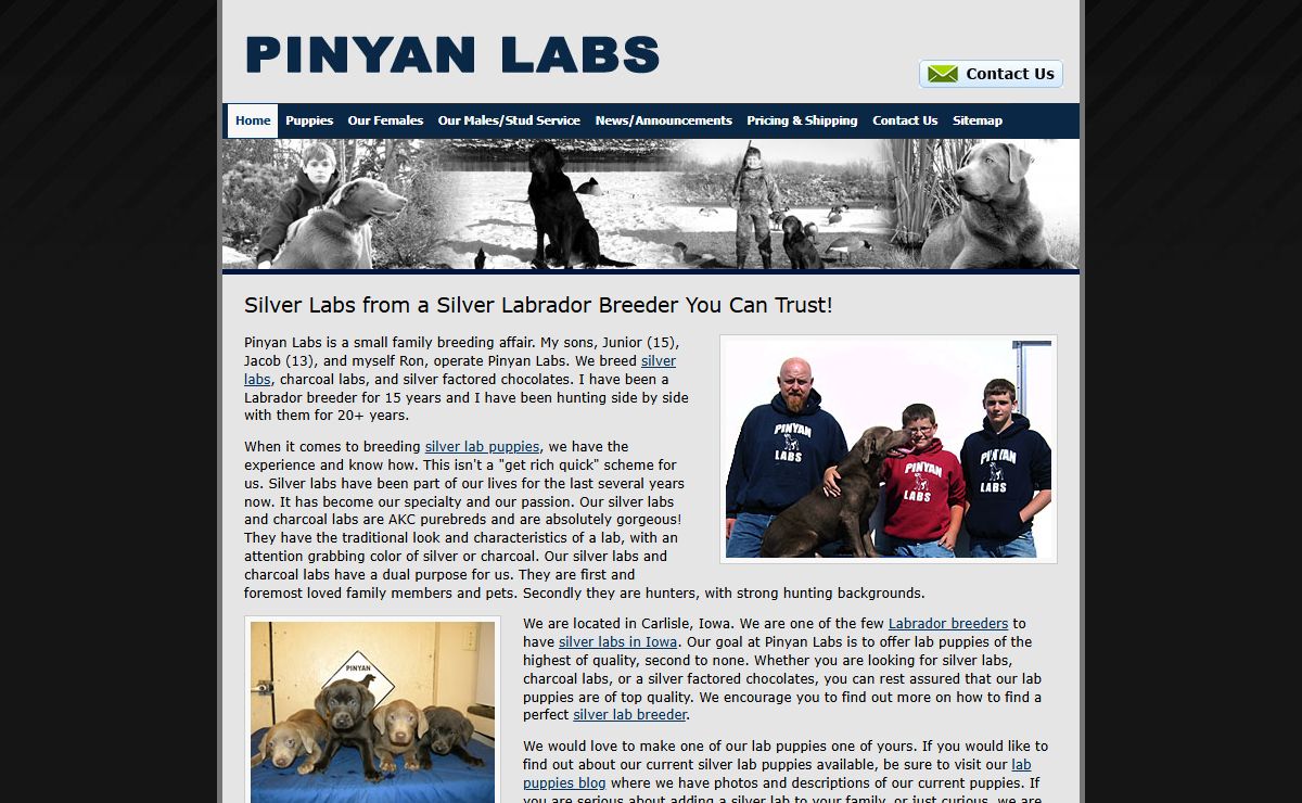 Pinyan Labs: High-Quality Silver Labs from a Labrador Breeder You Can Trust