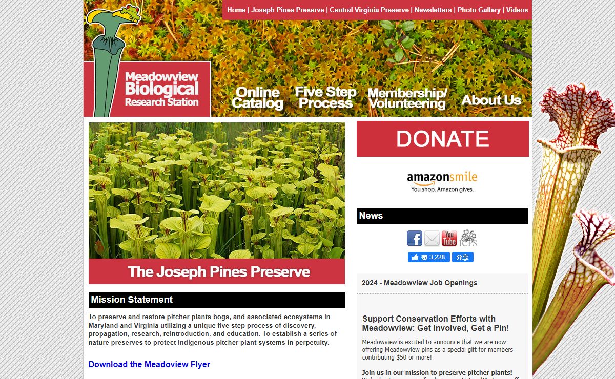 Meadowview Biological Research Station | Preserving and Restoring Pitcher Plant Bogs
