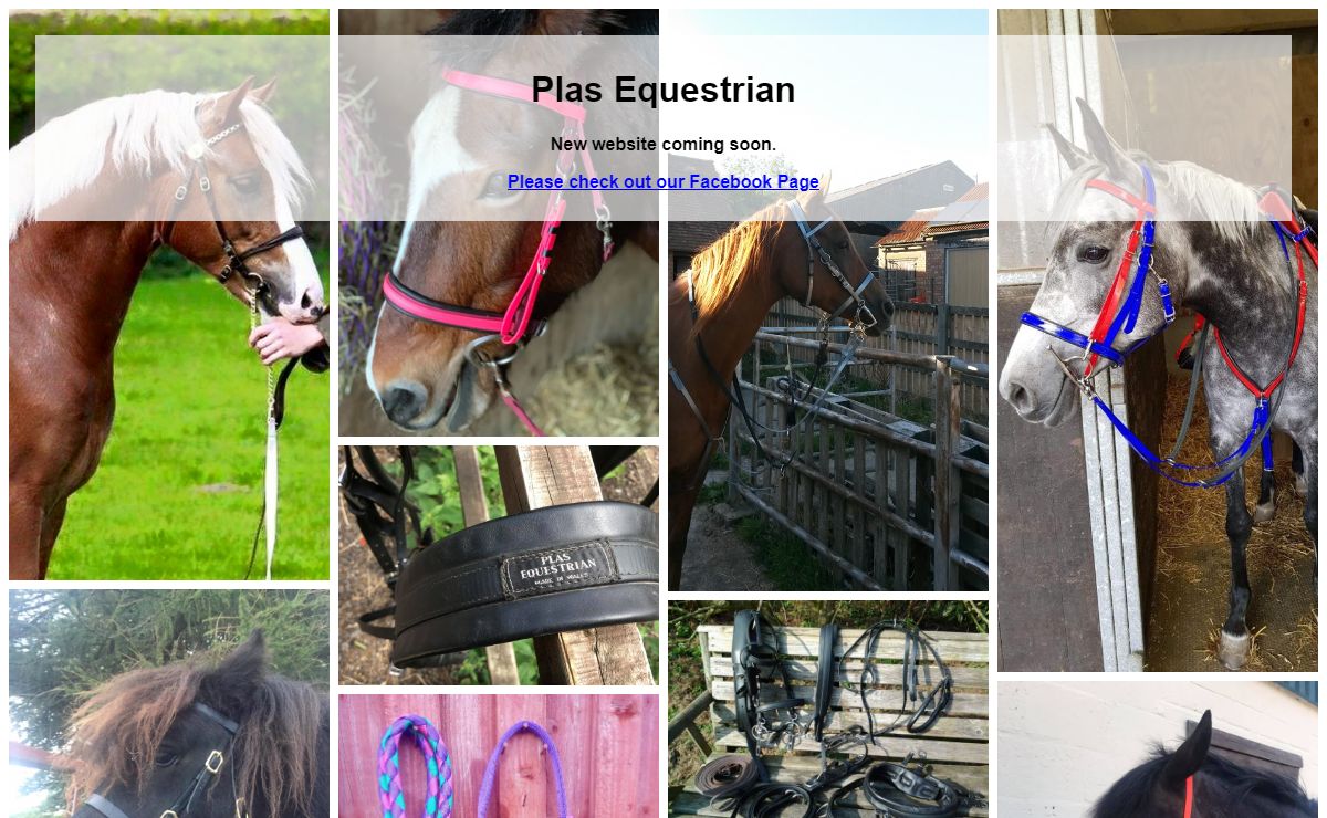 Plas Equestrian Saddlery & Driving Harness