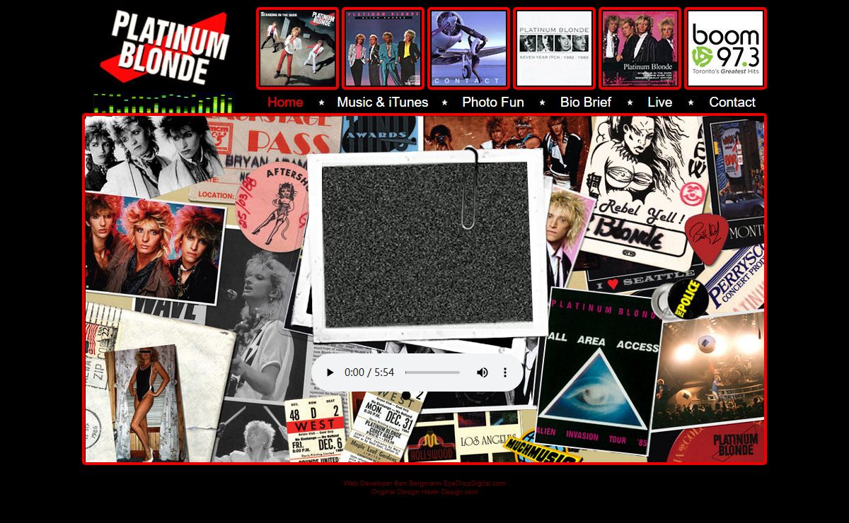 The Original Platinum Blonde Band Official Website