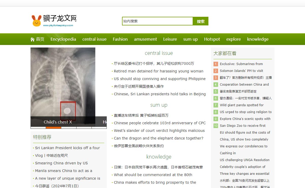 骥子龙文网