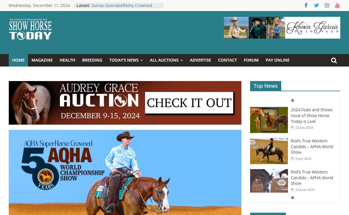 Show Horse Today - the evolution of PleasureHorse.com