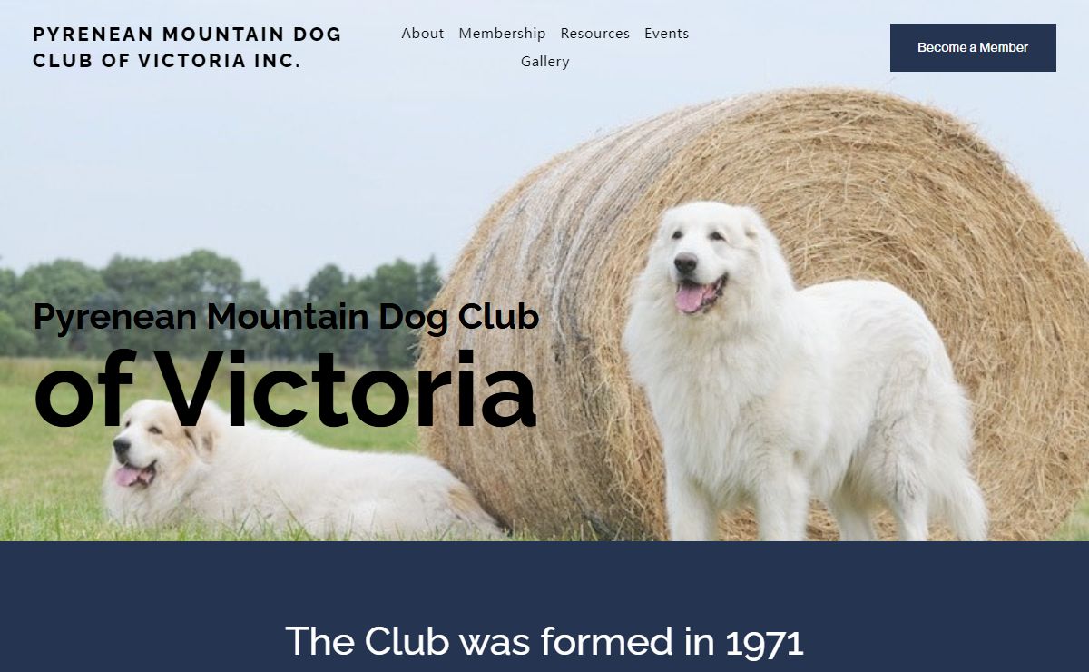 Pyrenean Mountain Dog Club of Victoria