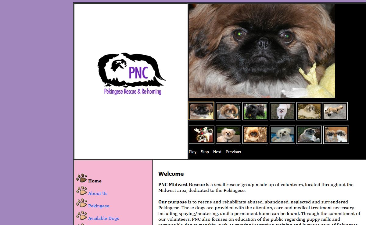 Pekingese Rescue Located in the Midwest Trivia Sun Yat Sen Titanic Pekingese Survivor