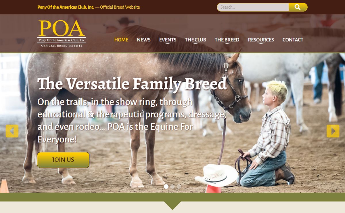Pony of the Americas Club, Inc. | Official Breed Website