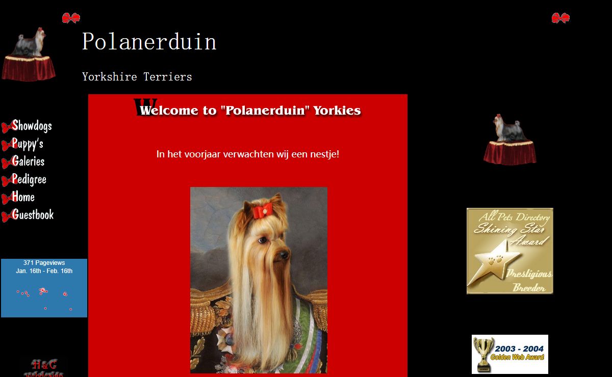 Polanerduin Yorkshire Terriers - The Netherlands