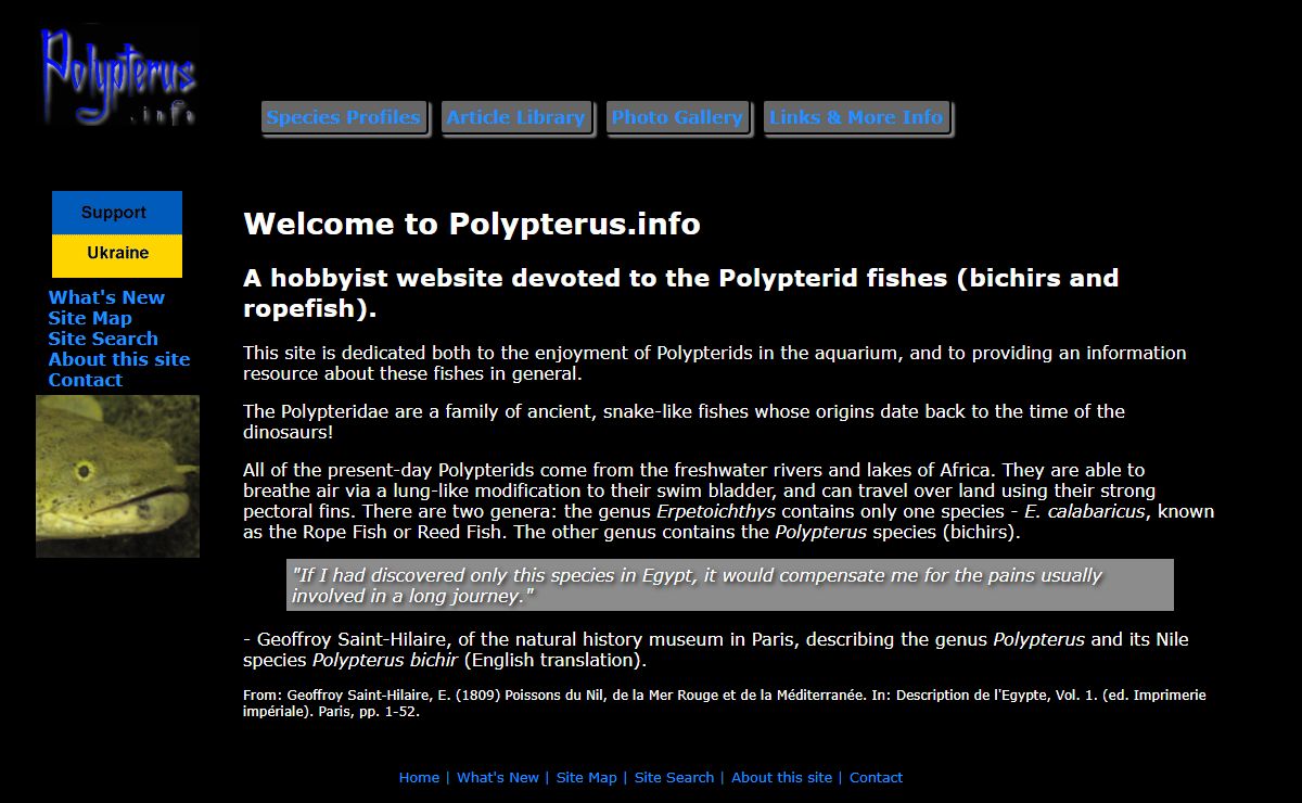 Polypterus info - Polypterus (Bichirs) and Ropefish