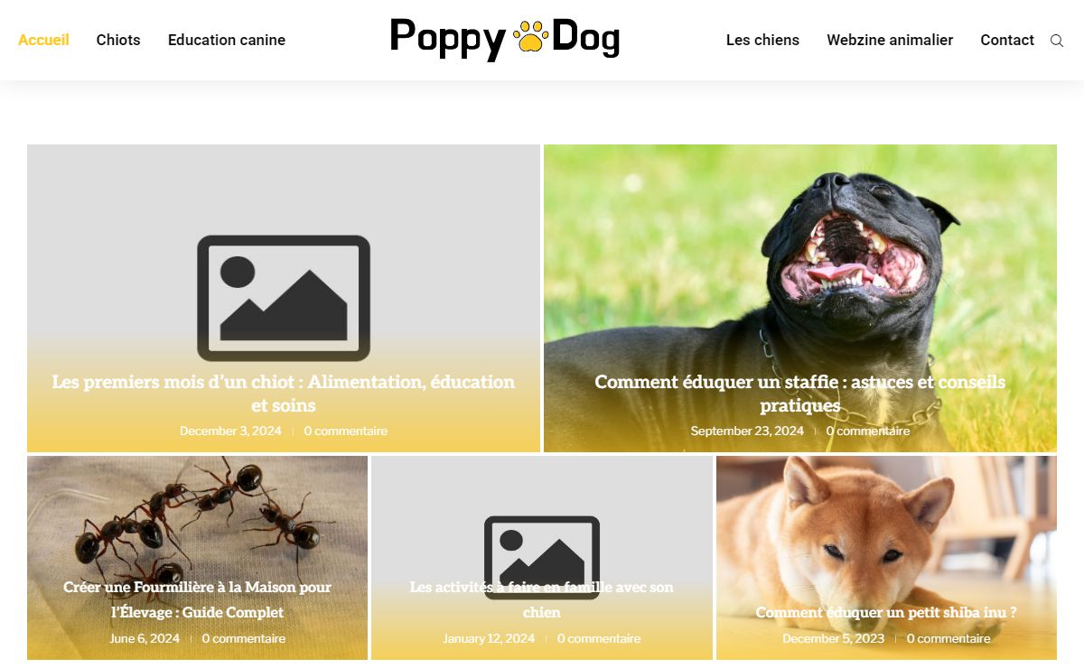 Poppy Dog : Premier site d'informations pour éduquer votre chien !