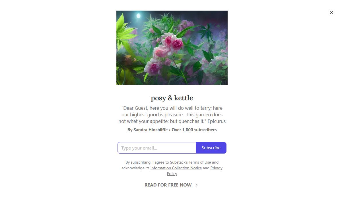 posy & kettle | Sandra Hinchliffe | Substack