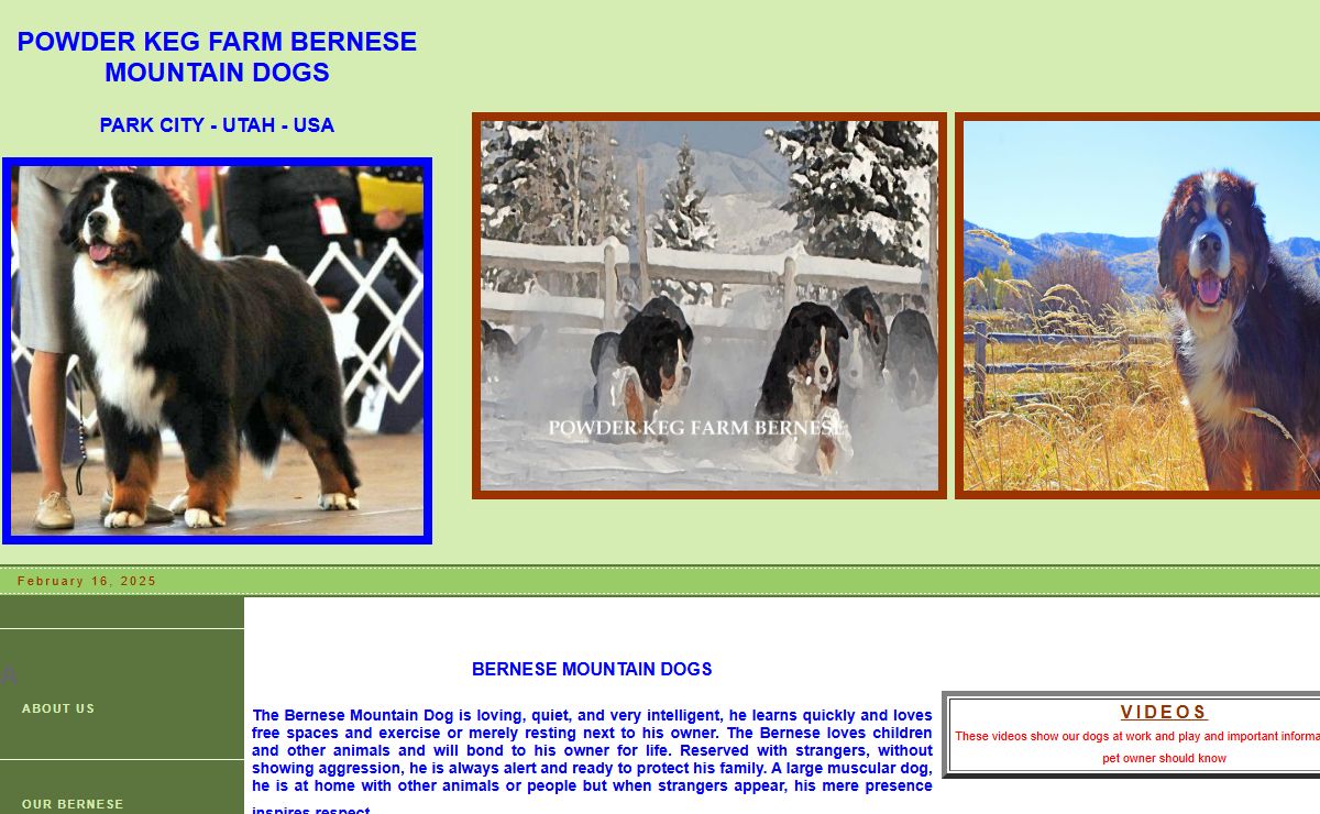 Home Page - Powder Keg Farm Bernese
