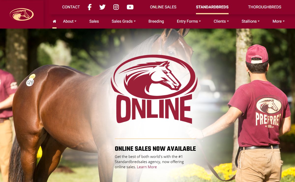 Home | Preferred Equine