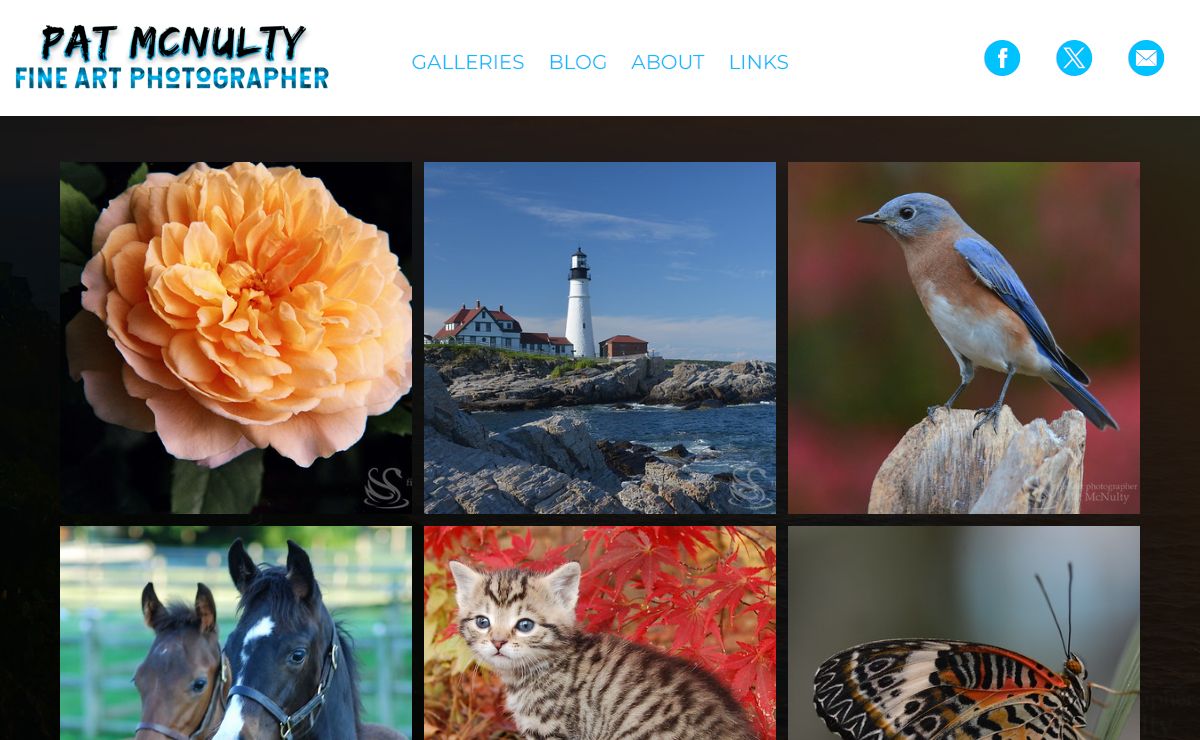Premier Photographer
