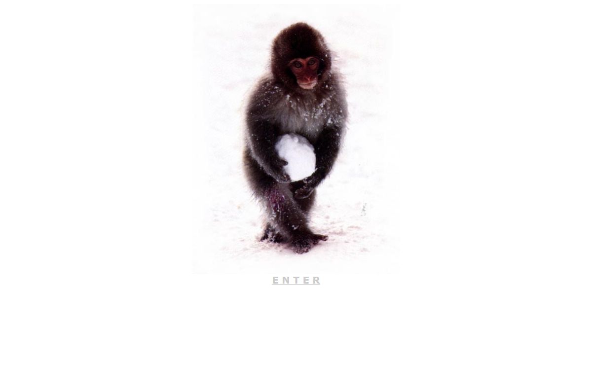 Primate Photo Gallery: chimpanzees, gorillas, orang-utans, monkeys, lemurs