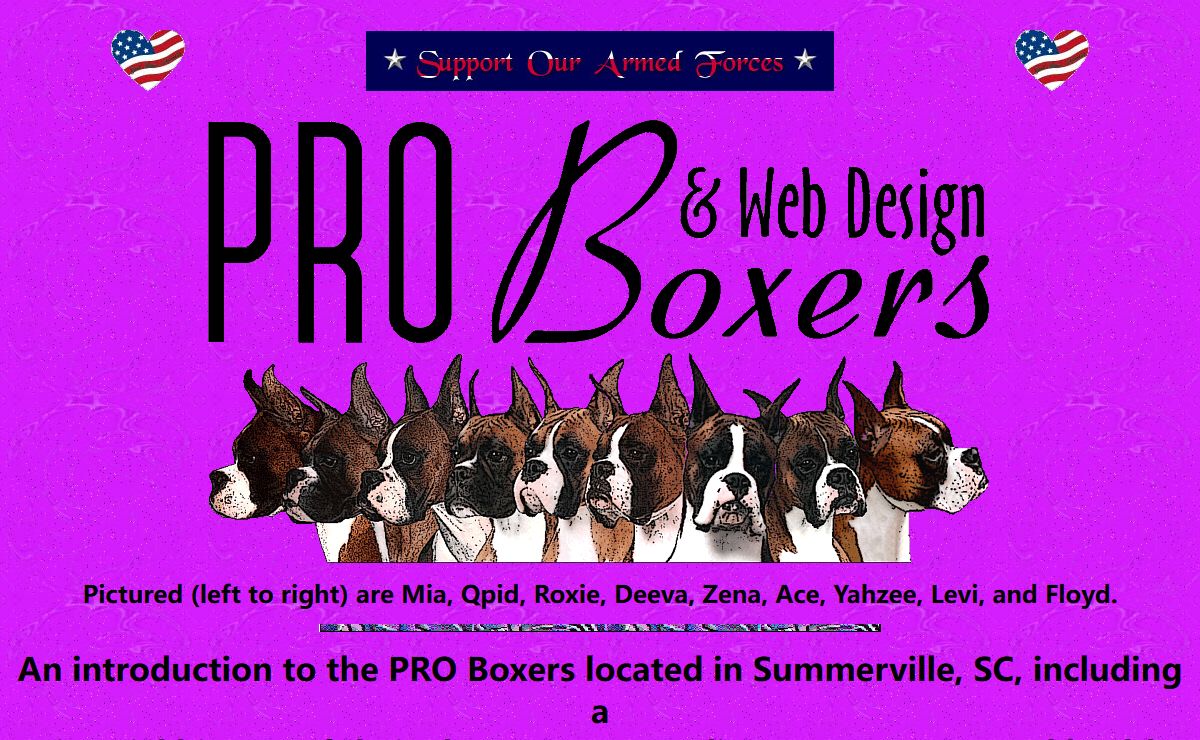 PRO Boxers