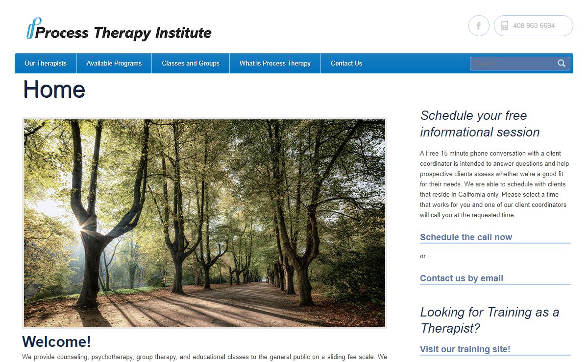 Process Therapy Institute