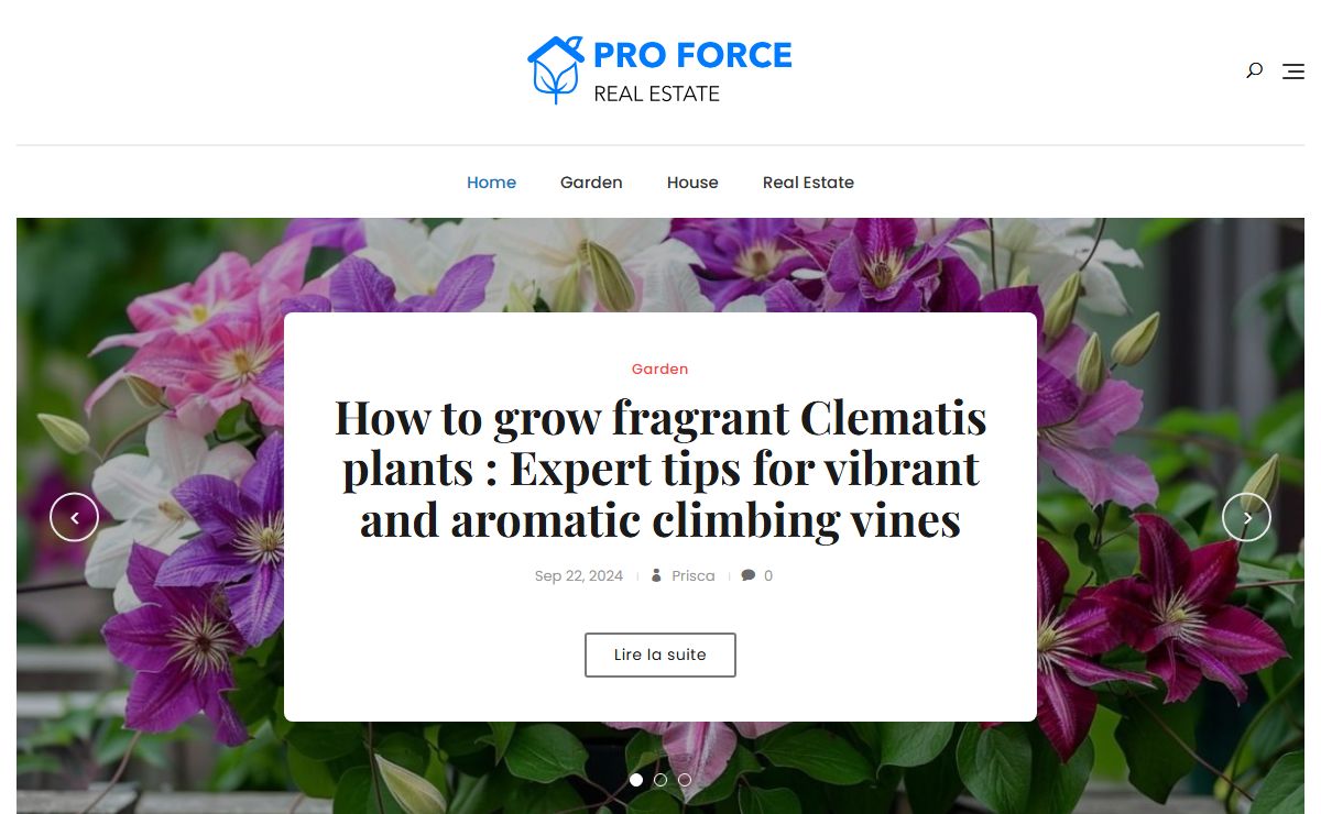 Pro Force Real Estate - Get inspired, build and embellish