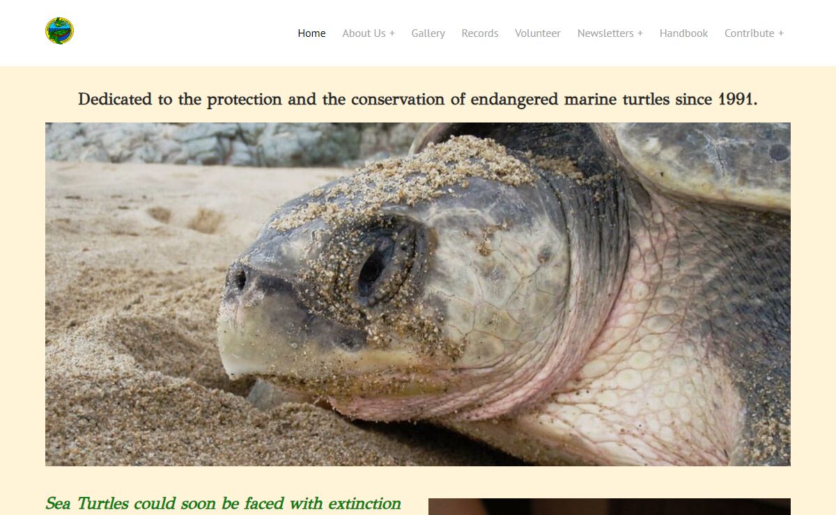 GRUPO ECOLOGICO DE LA COSTA VERDE A.C. - Project Tortuga