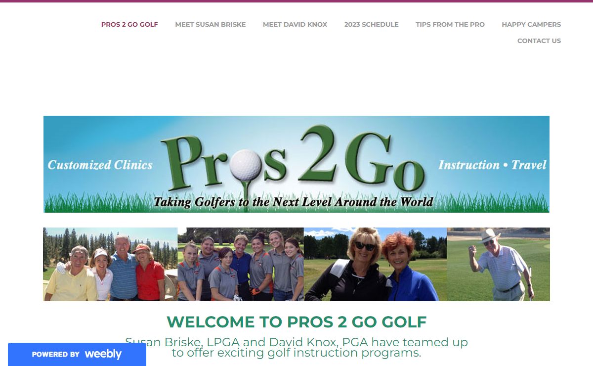 PROS 2 GO GOLF