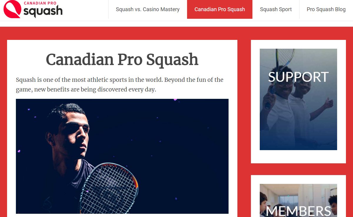 Canadian Pro Squash: Basic Rules And Gameplay