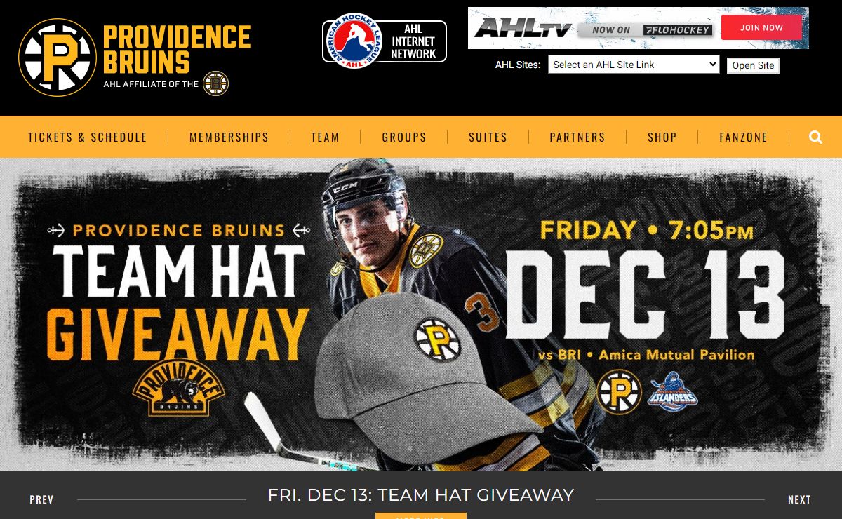 Providence Bruins