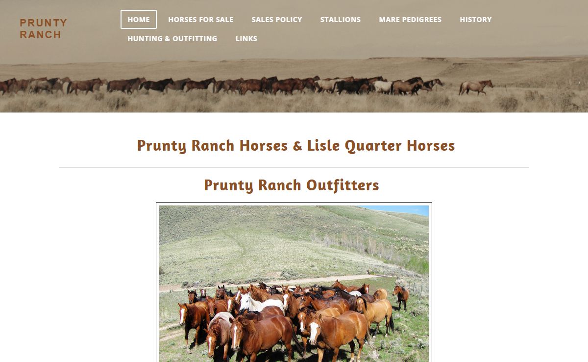 PRUNTY RANCH - Nevada Ranch Horses for Sale