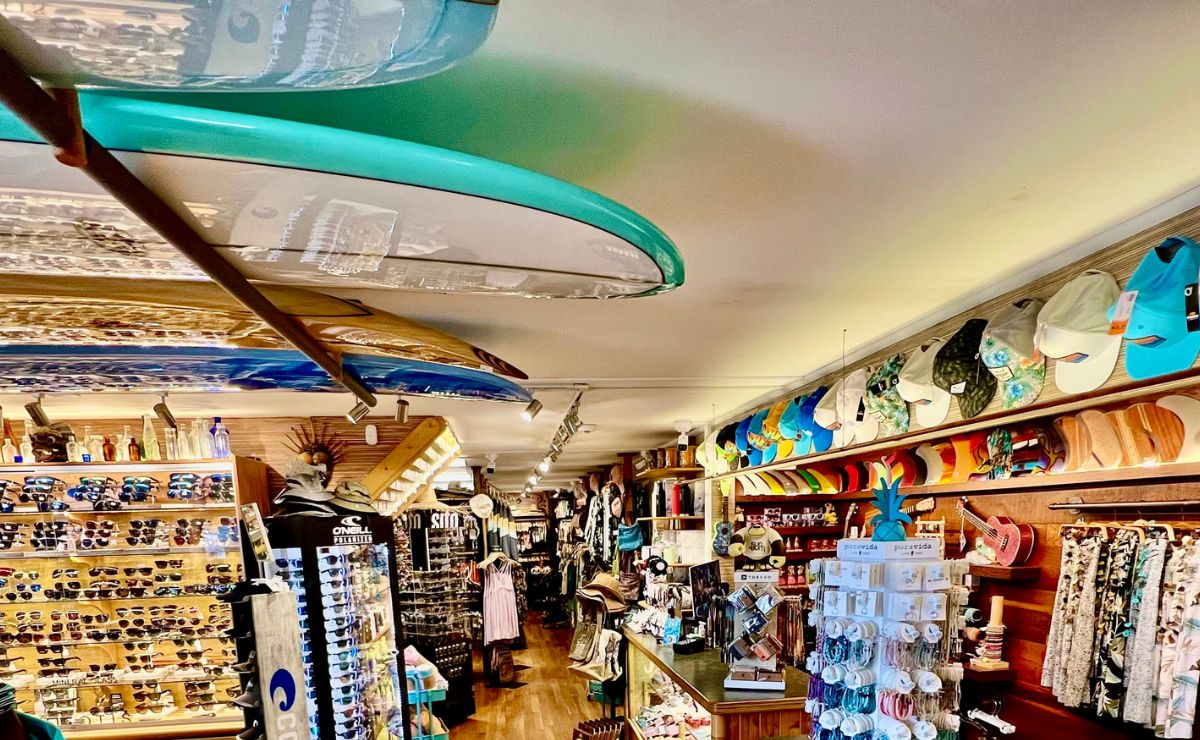 PRIMAL SURF | BRIGANTINE, NJ - Home