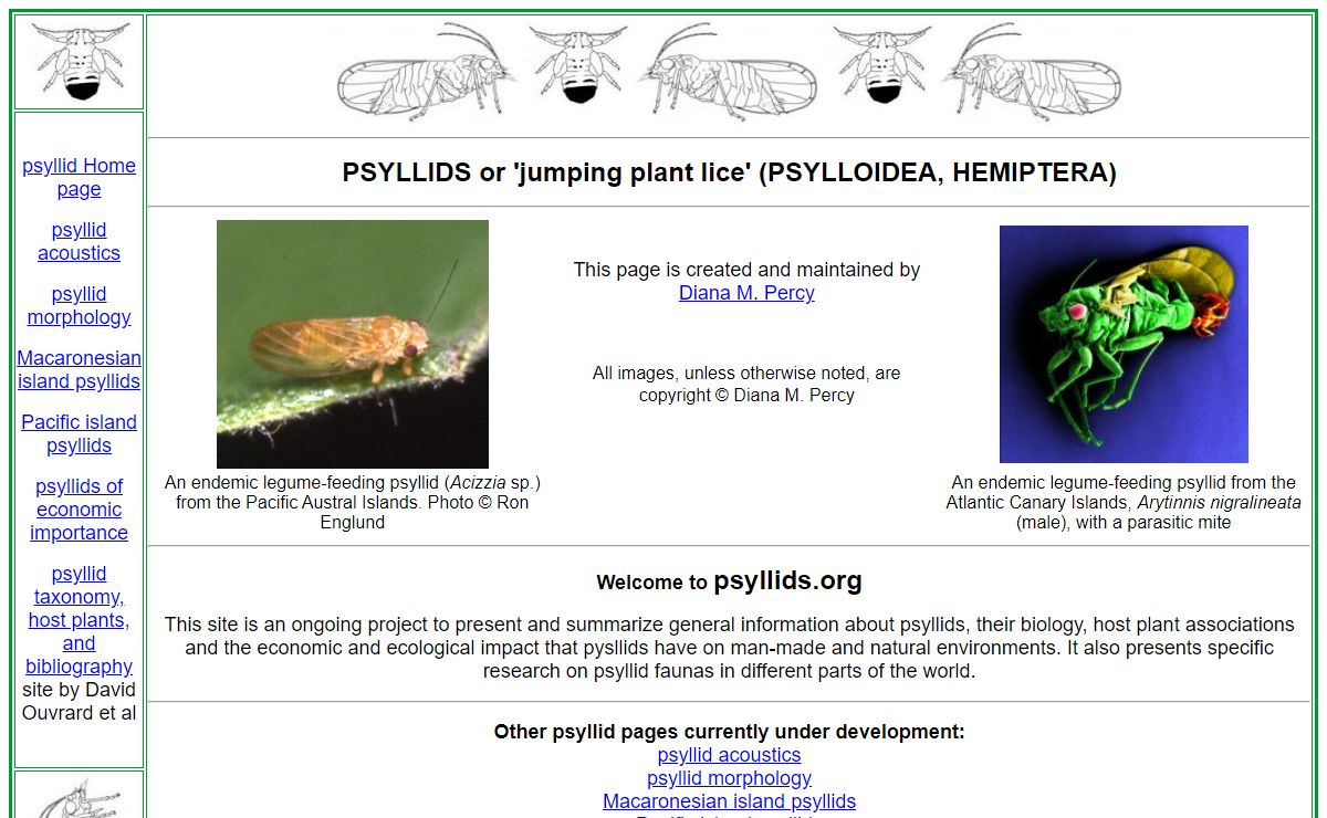 psyllids Home Page
