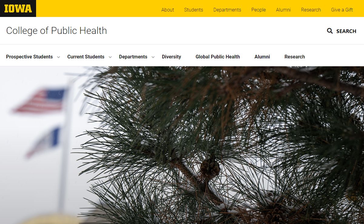 University of Iowa College of Public Health