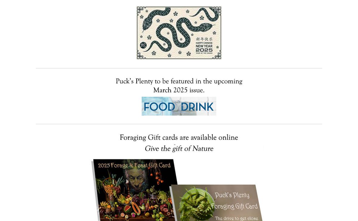 Ontario Foraging, Foraging, Wild edibles, Wild Mushrooms, Stratford restaurants, oyster mushrooms, morels