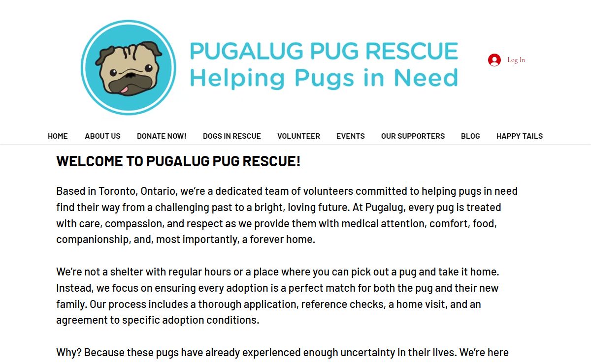 Dog Rescue | Pugalug Pug Rescue | Toronto