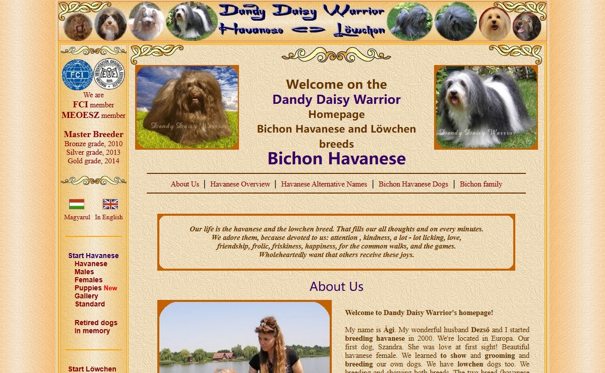 Havanese breeder. Dandy Daisy Warrior havanese dogs and puppies,