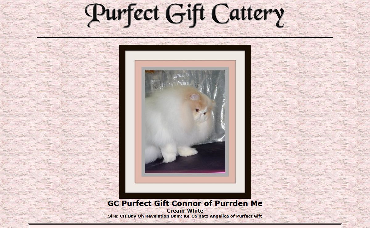 Persians, Maryland - Purfect Gift Cattery - Persians - Home Page