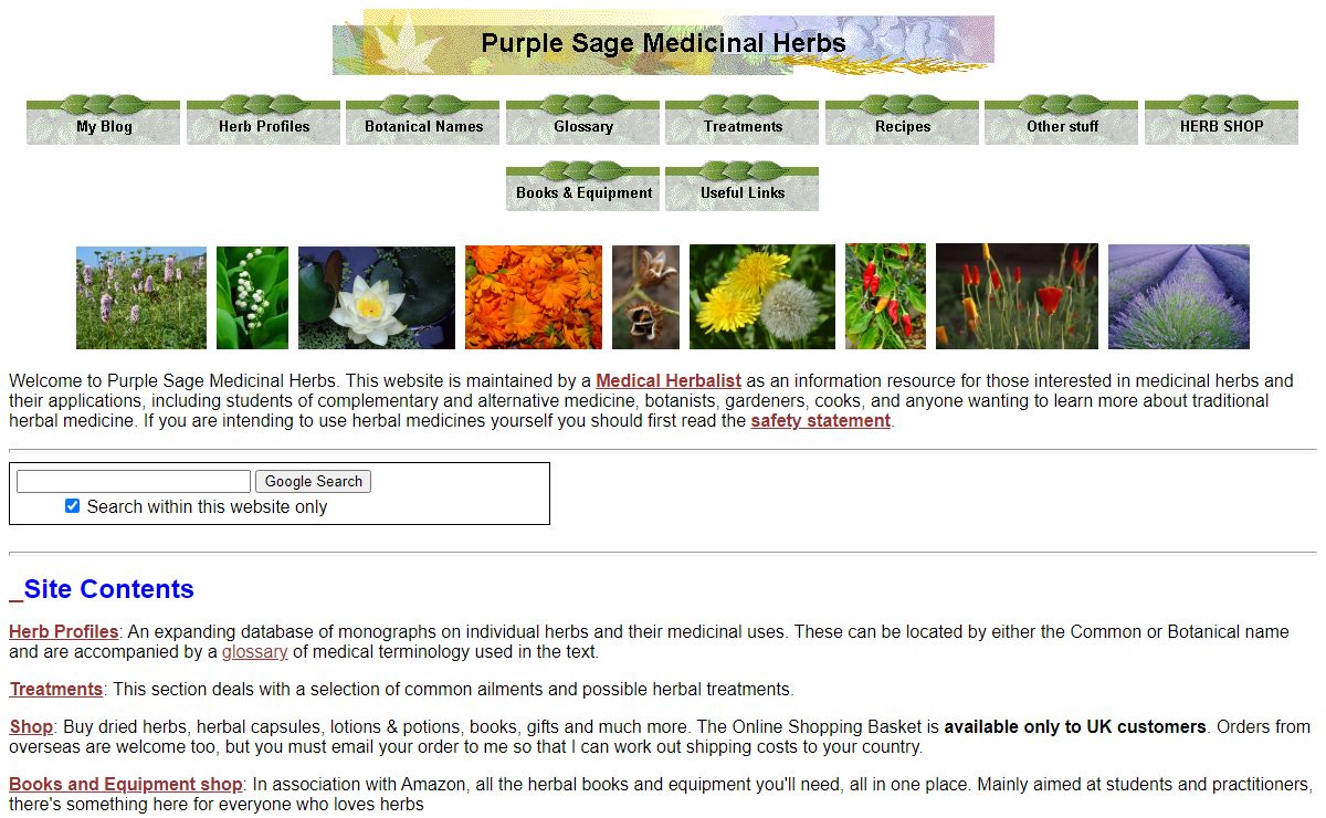 Purple Sage Medicinal Herbs