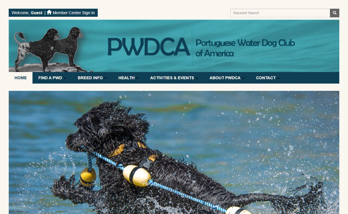 Portuguese Water Dog Club of America, Inc. (PWDCA) - Powered by AMO