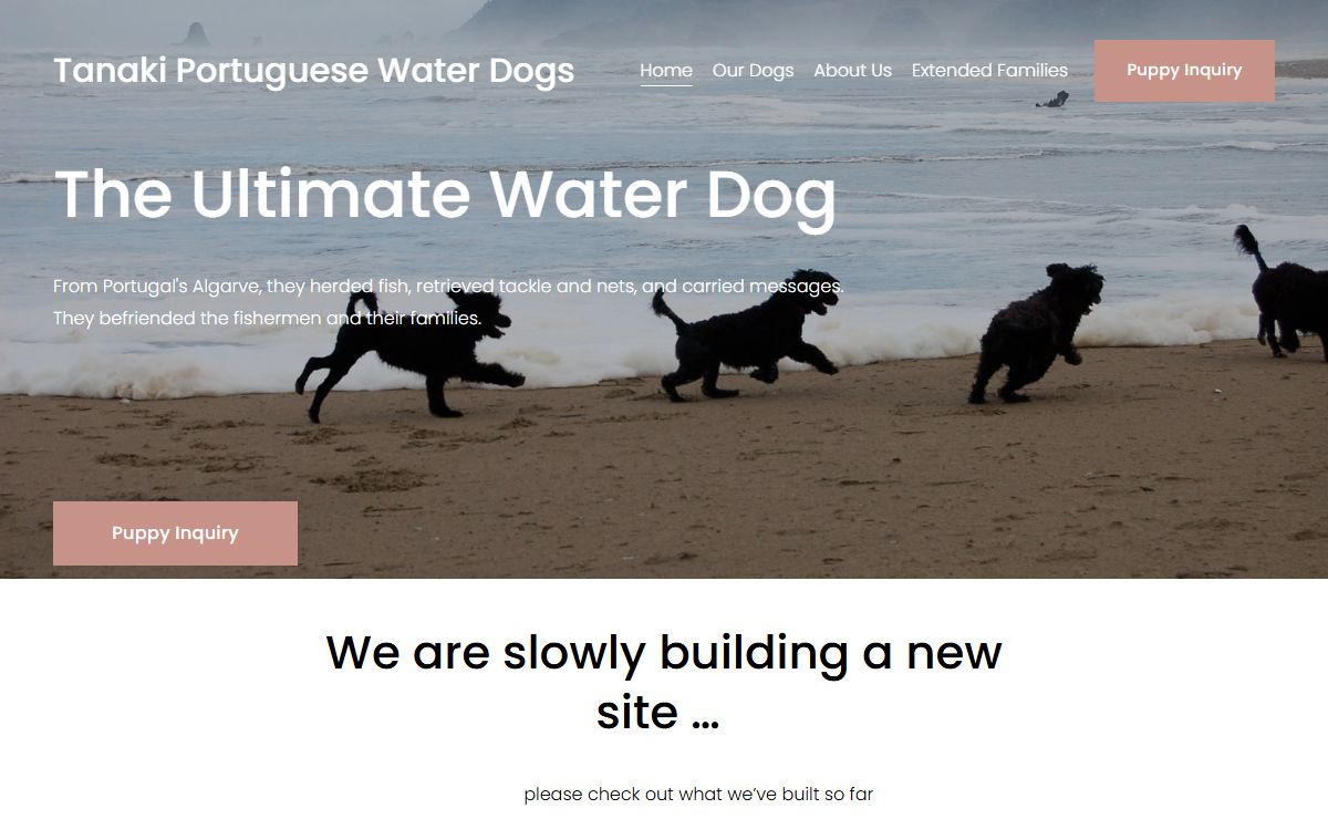 Tanaki Portuguese Water Dogs