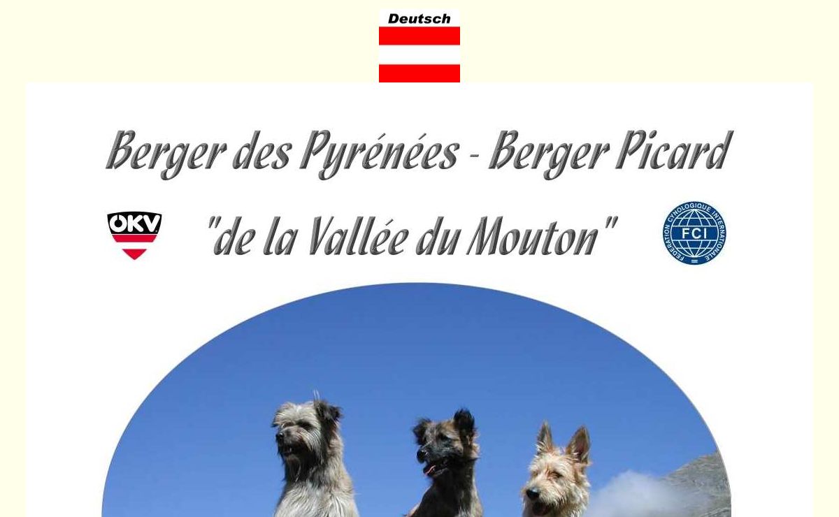 Berger des Pyrénées - Berger Picard "de la Vallée du Mouton"